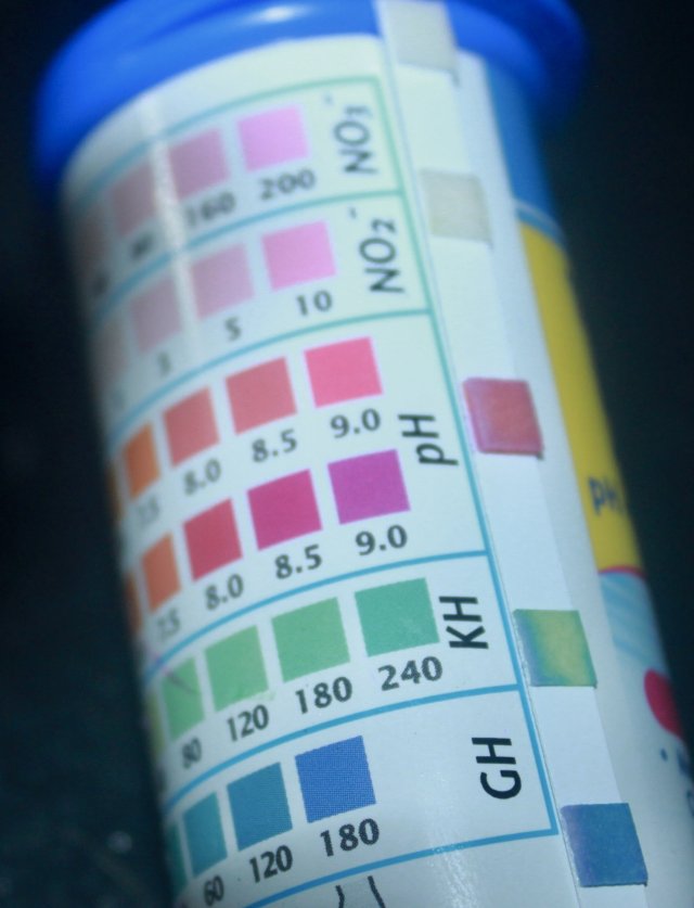 IMG_4813.jpeg IMG_4813.jpeg