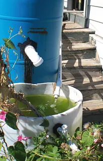 1762954384644.png 1762954384644.png