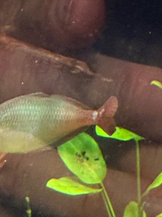 IMG_1008.jpeg IMG_1008.jpeg