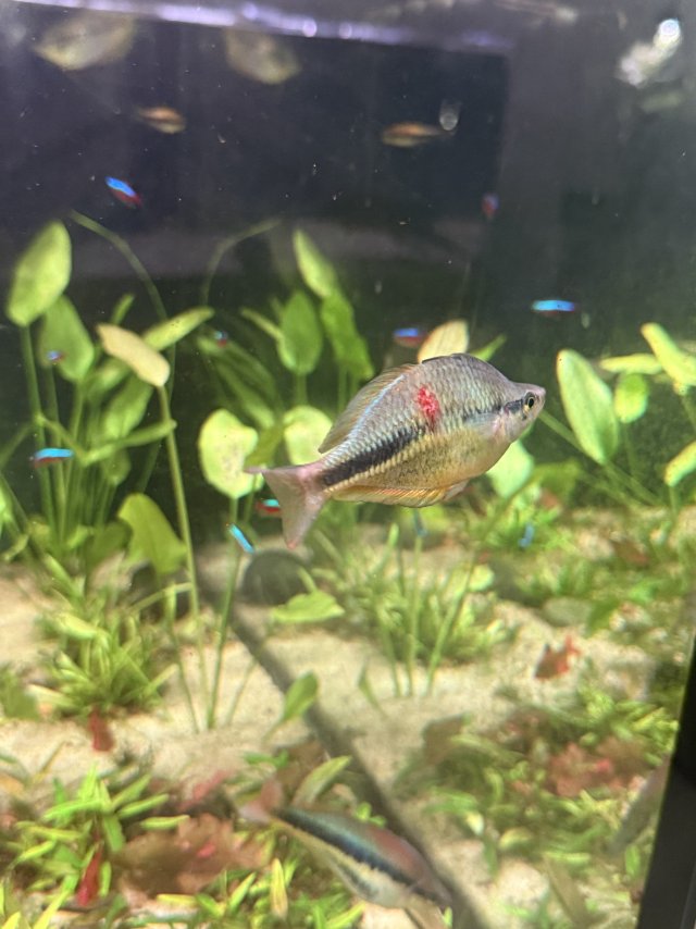 IMG_1004.jpeg IMG_1004.jpeg