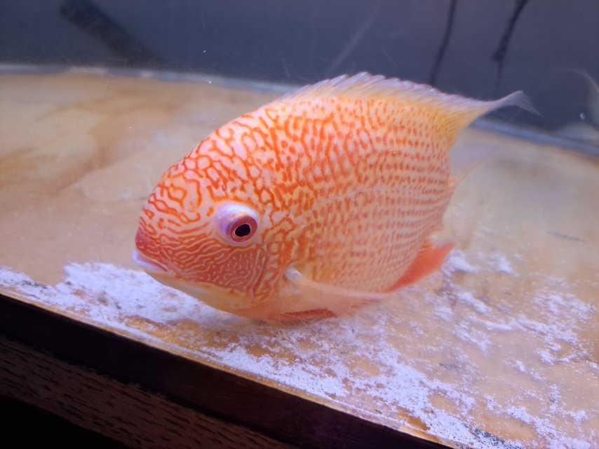 20250528_005941 (1).jpg