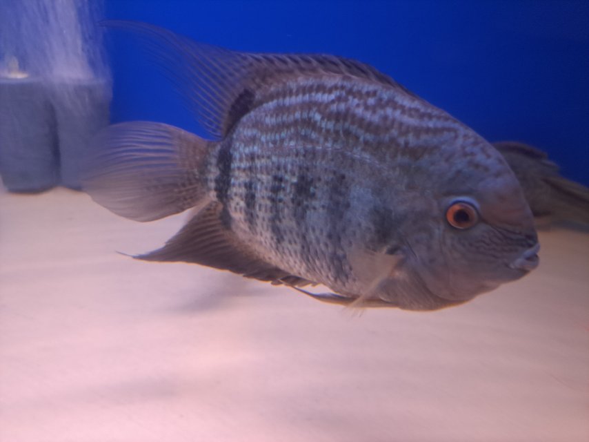 20250930_005258 (1).jpg