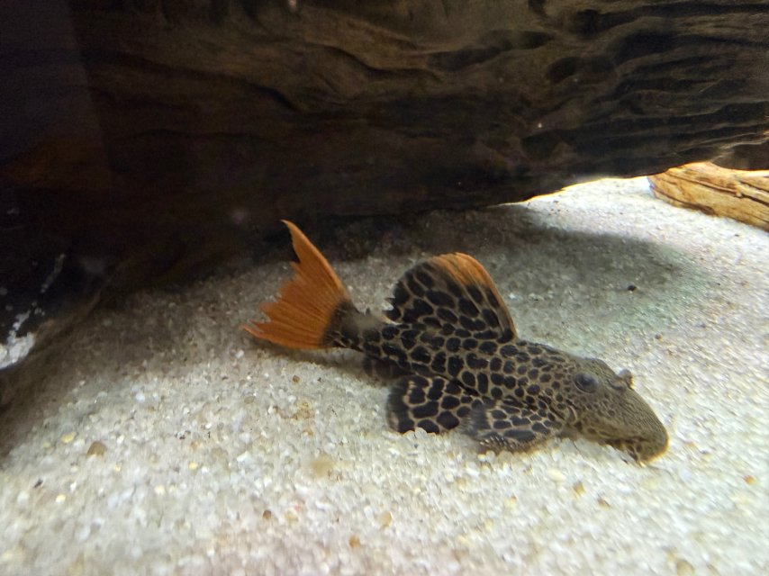 IMG_1971.jpeg IMG_1971.jpeg