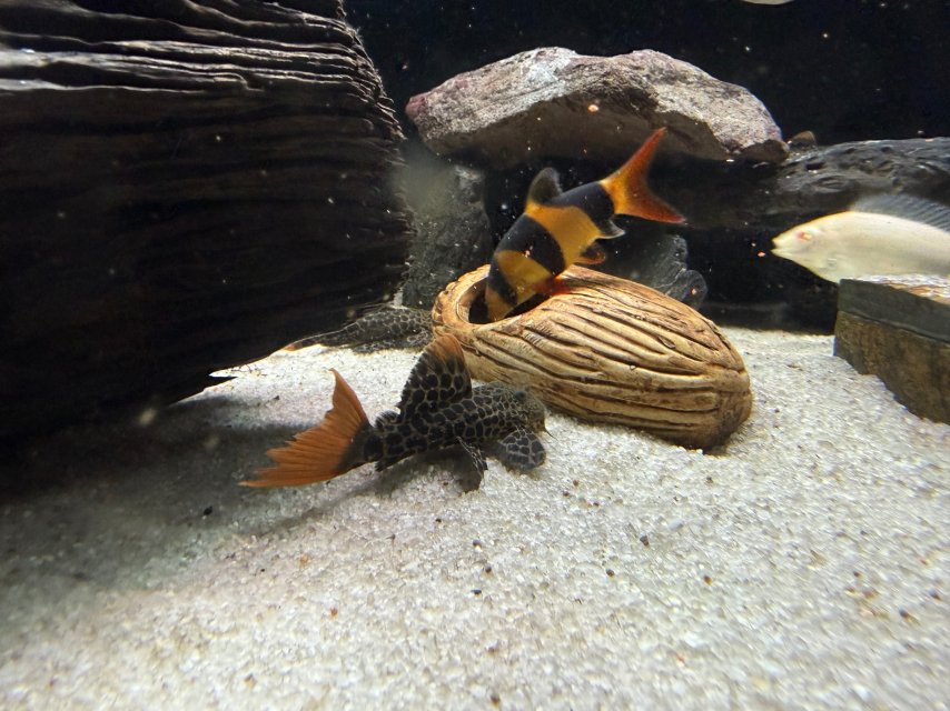 IMG_1966.jpeg IMG_1966.jpeg