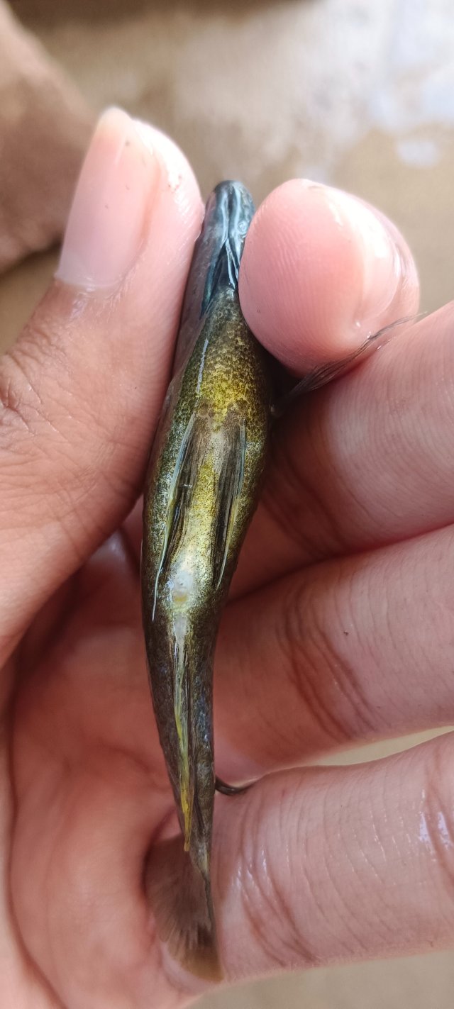 IMG_20251115_132323.jpg IMG_20251115_132323.jpg