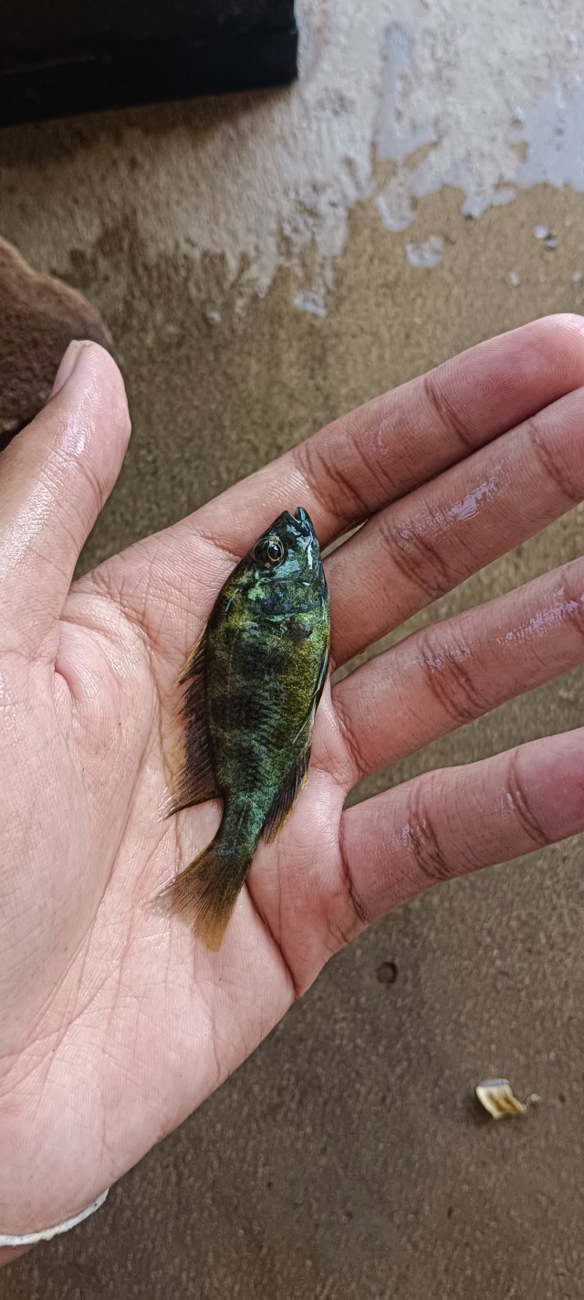 IMG_20251115_132313.jpg IMG_20251115_132313.jpg