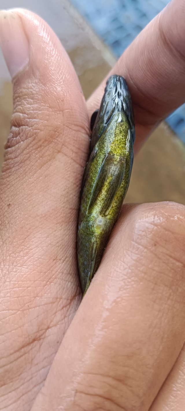 IMG_20251115_132420.jpg IMG_20251115_132420.jpg