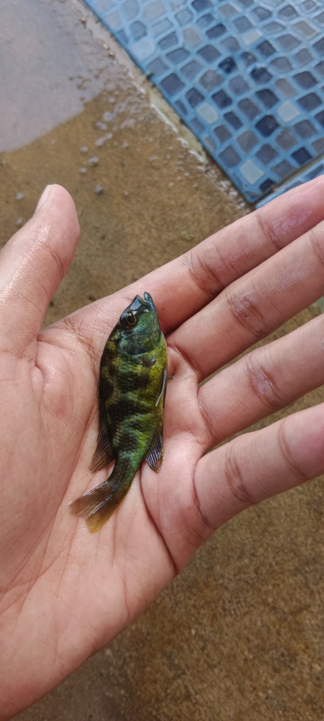 IMG_20251115_132413.jpg IMG_20251115_132413.jpg