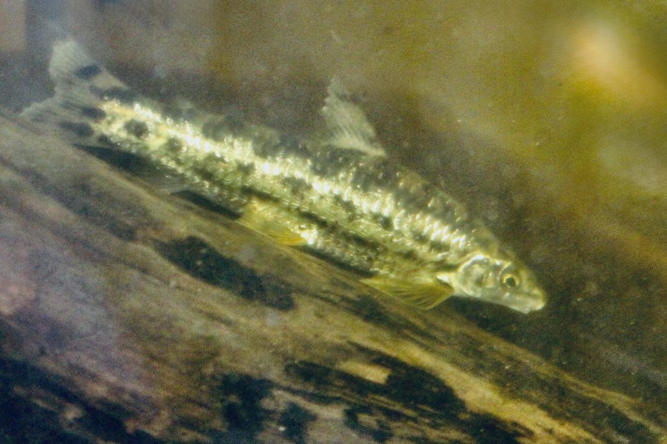 IMG_8608.jpeg IMG_8608.jpeg