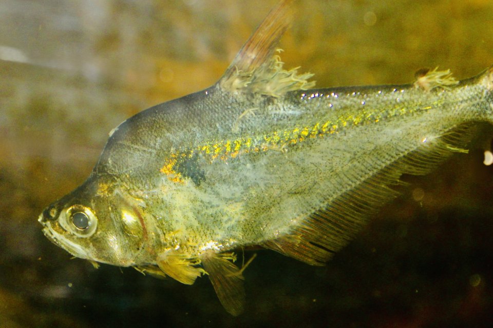 IMG_9930.jpeg IMG_9930.jpeg