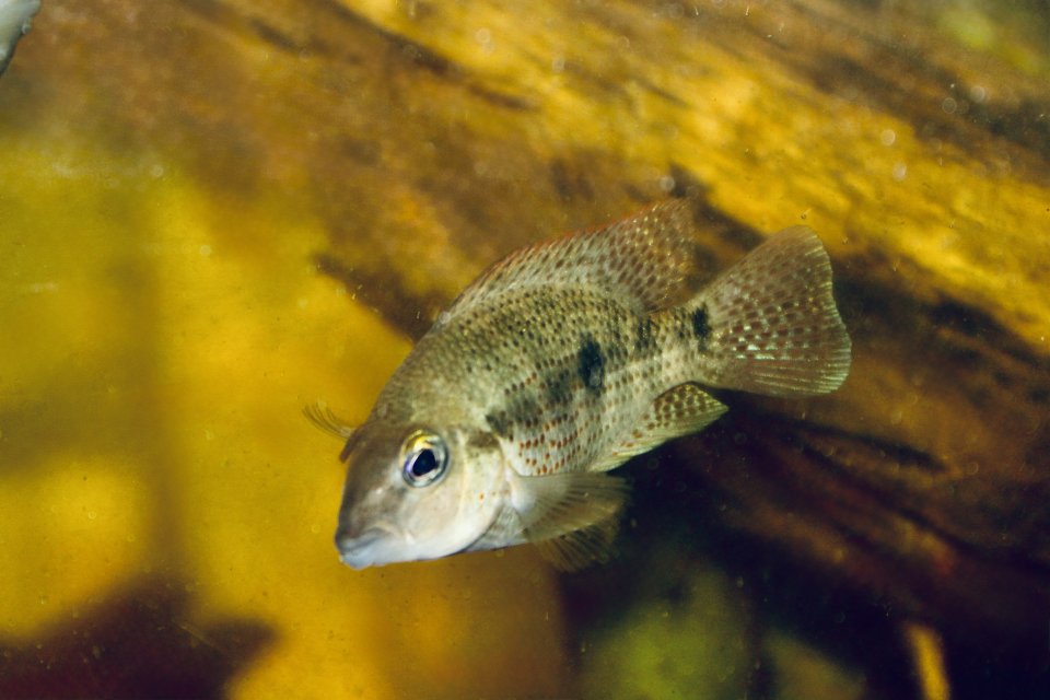 IMG_9733.jpeg IMG_9733.jpeg