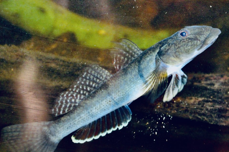 IMG_6343.jpeg IMG_6343.jpeg