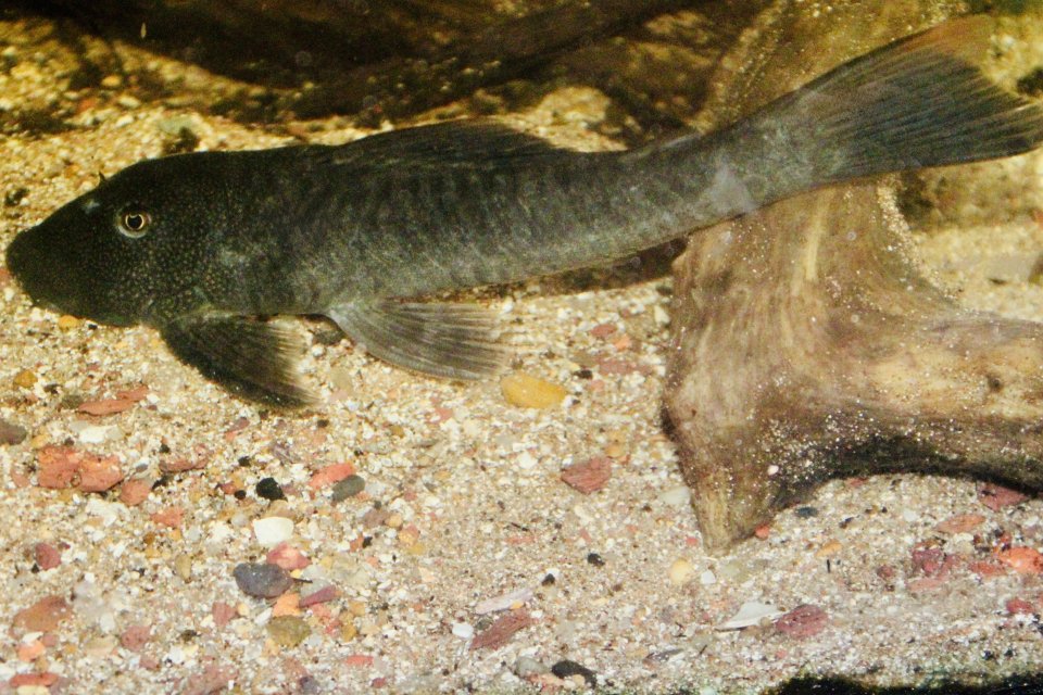 IMG_9225.jpeg IMG_9225.jpeg