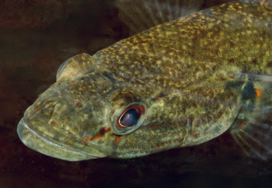 IMG_9019.jpeg IMG_9019.jpeg