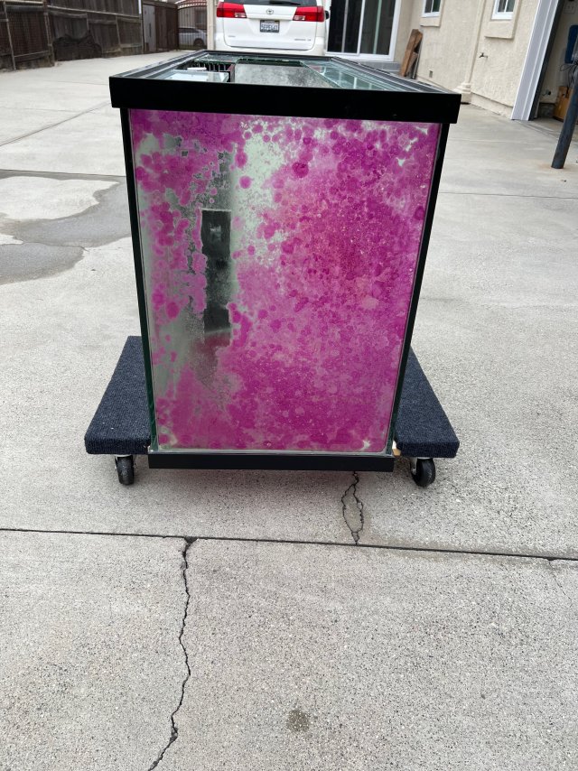 IMG_3466.jpeg IMG_3466.jpeg