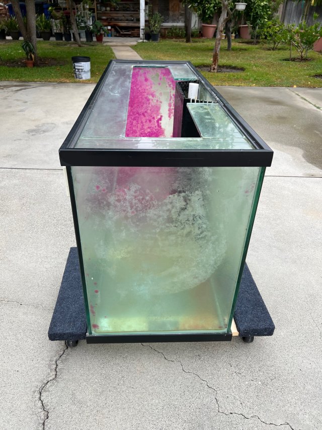 IMG_3468.jpeg IMG_3468.jpeg