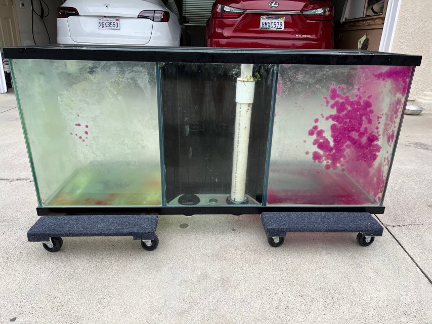 IMG_3467.jpeg IMG_3467.jpeg