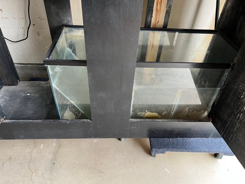 IMG_3470.jpeg IMG_3470.jpeg