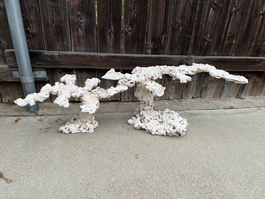 IMG_3471.jpeg IMG_3471.jpeg