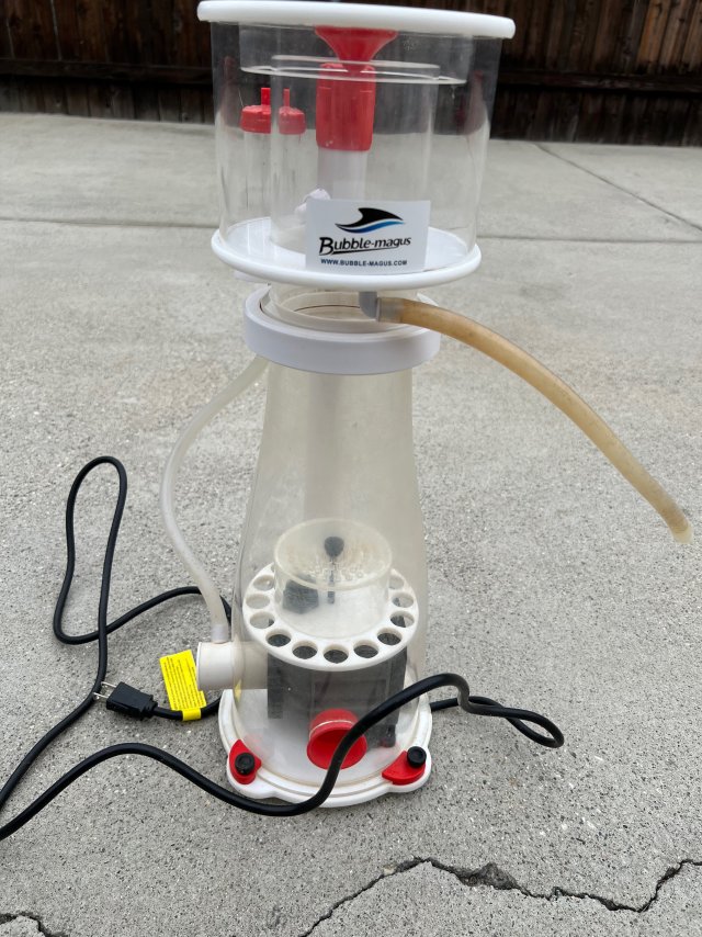 IMG_3475.jpeg IMG_3475.jpeg