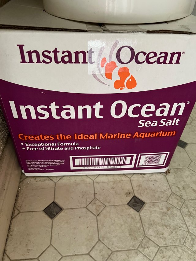 IMG_3482.jpeg IMG_3482.jpeg