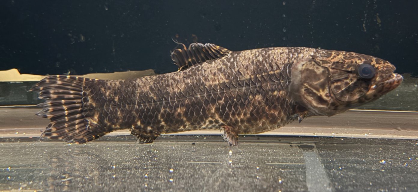 IMG_0212.jpg IMG_0212.jpg