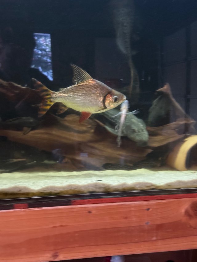 IMG_8101.jpeg IMG_8101.jpeg