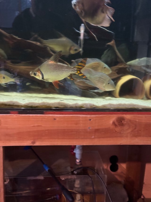 IMG_8107.jpeg IMG_8107.jpeg