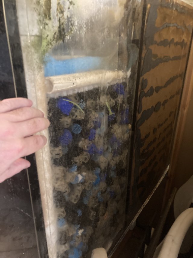 IMG_6259.jpeg IMG_6259.jpeg