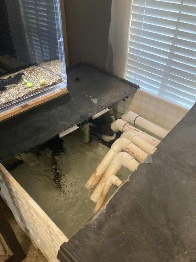 IMG_6258.jpeg IMG_6258.jpeg