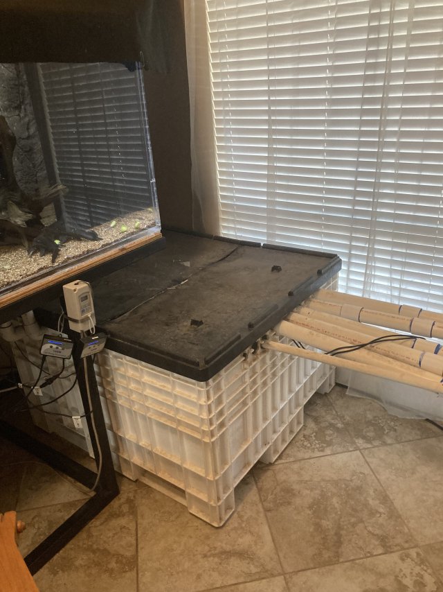 IMG_6257.jpeg IMG_6257.jpeg