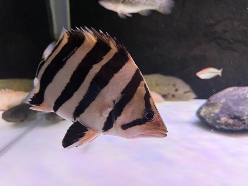 IMG_3331.jpeg IMG_3331.jpeg