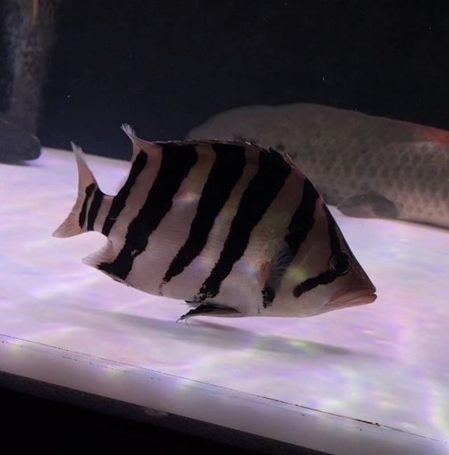 IMG_3397.jpeg IMG_3397.jpeg