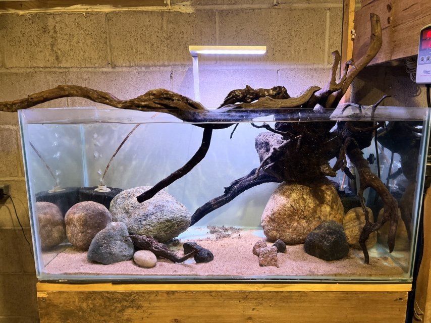 IMG_5895.jpeg IMG_5895.jpeg