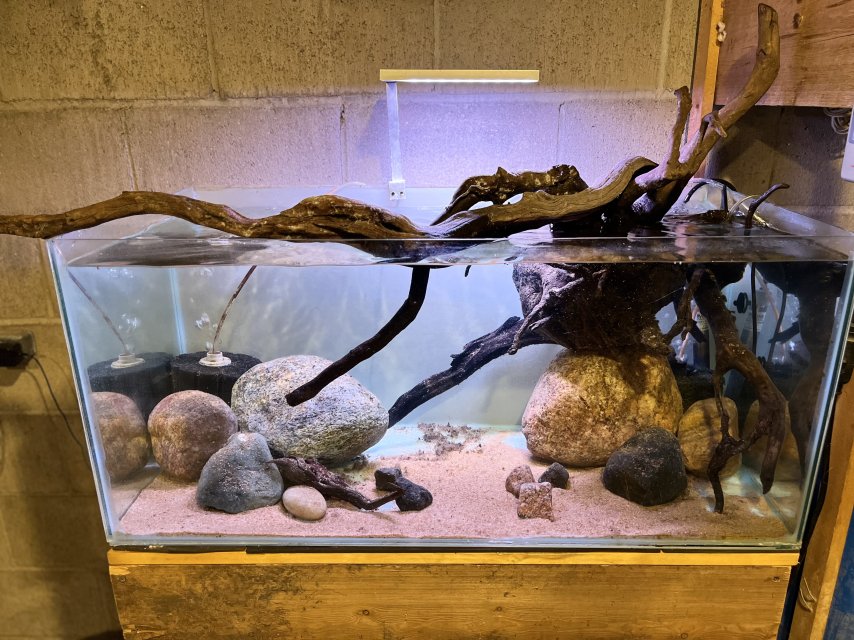 IMG_5894.jpeg IMG_5894.jpeg