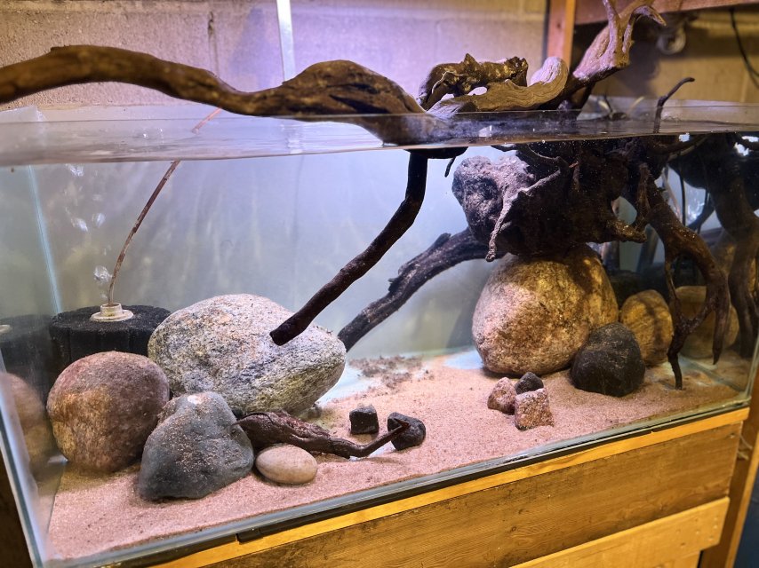 IMG_5893.jpeg IMG_5893.jpeg