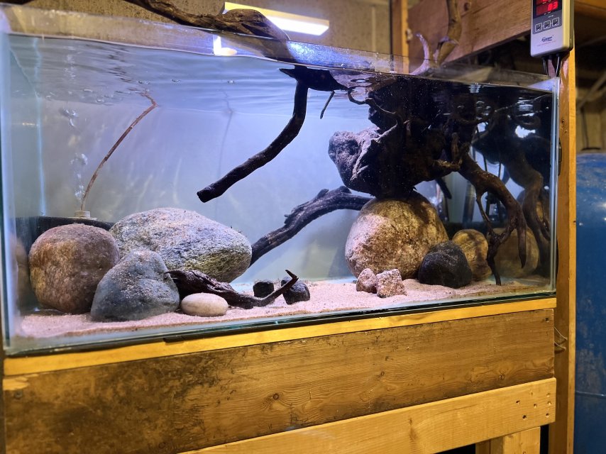 IMG_5892.jpeg IMG_5892.jpeg