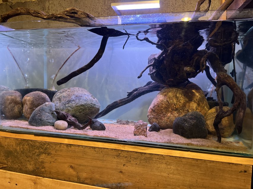 IMG_5891.jpeg IMG_5891.jpeg