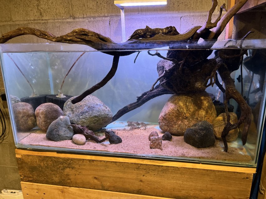 IMG_5889.jpeg IMG_5889.jpeg