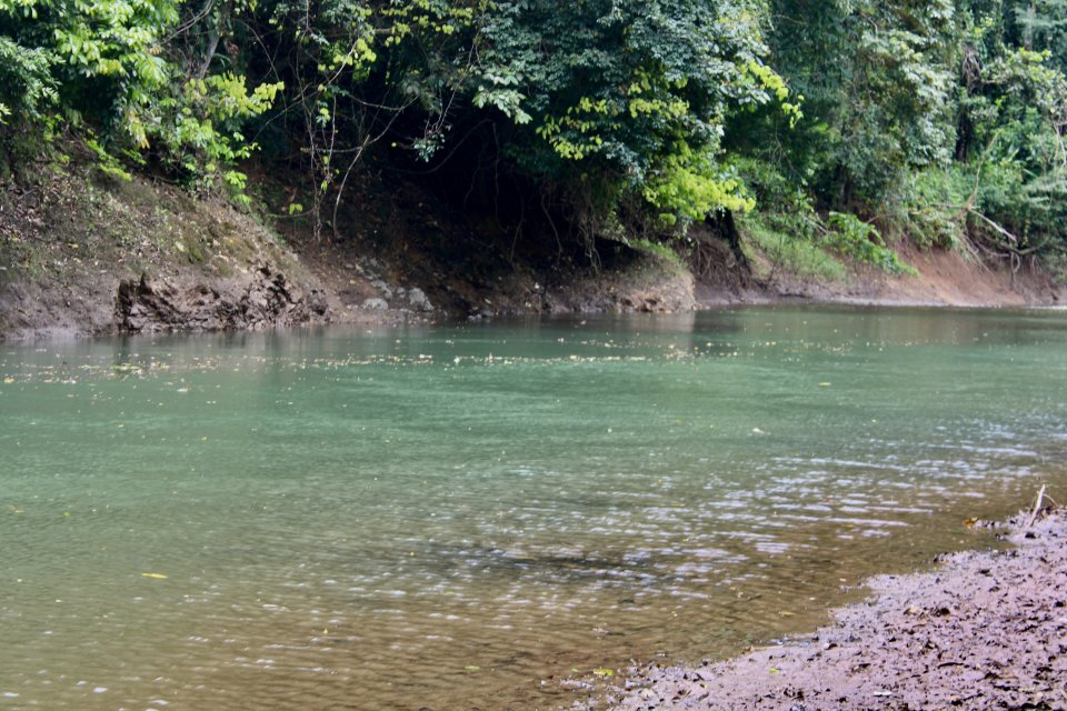 IMG_5914.jpeg IMG_5914.jpeg