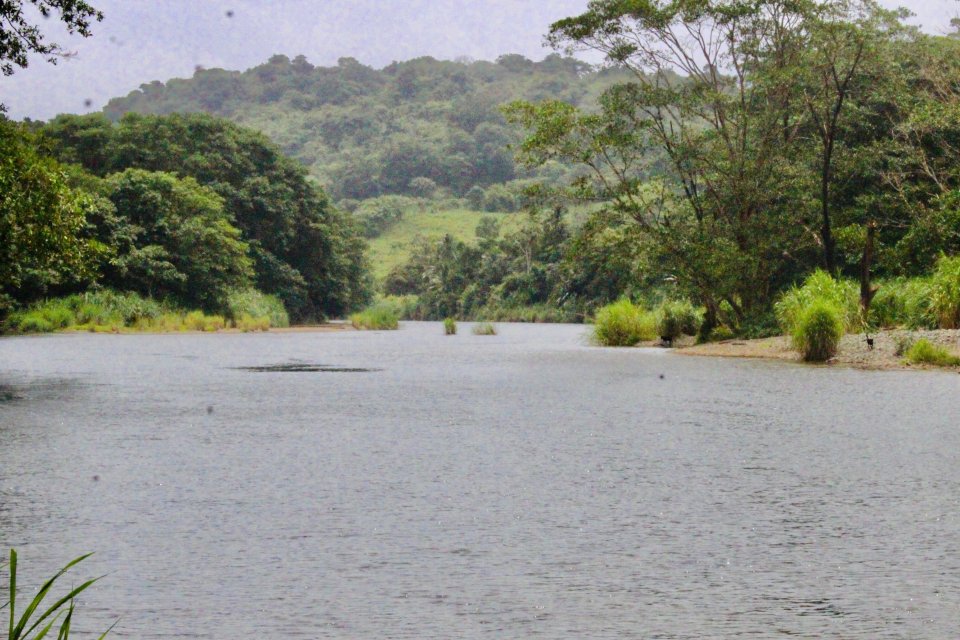 IMG_4805.jpeg IMG_4805.jpeg