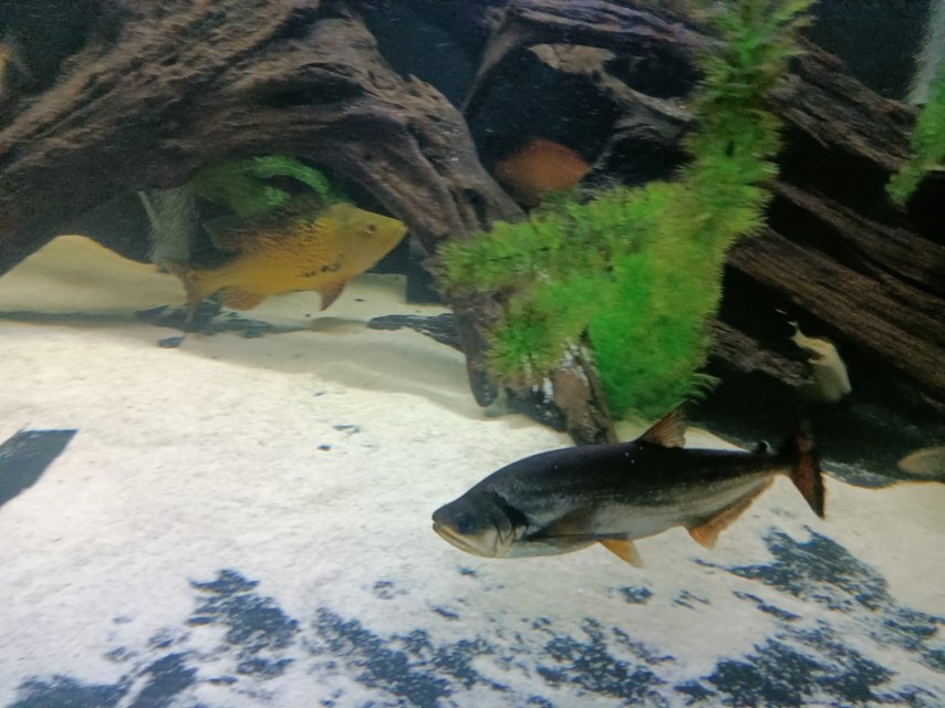 IMG20251119185353.jpg IMG20251119185353.jpg