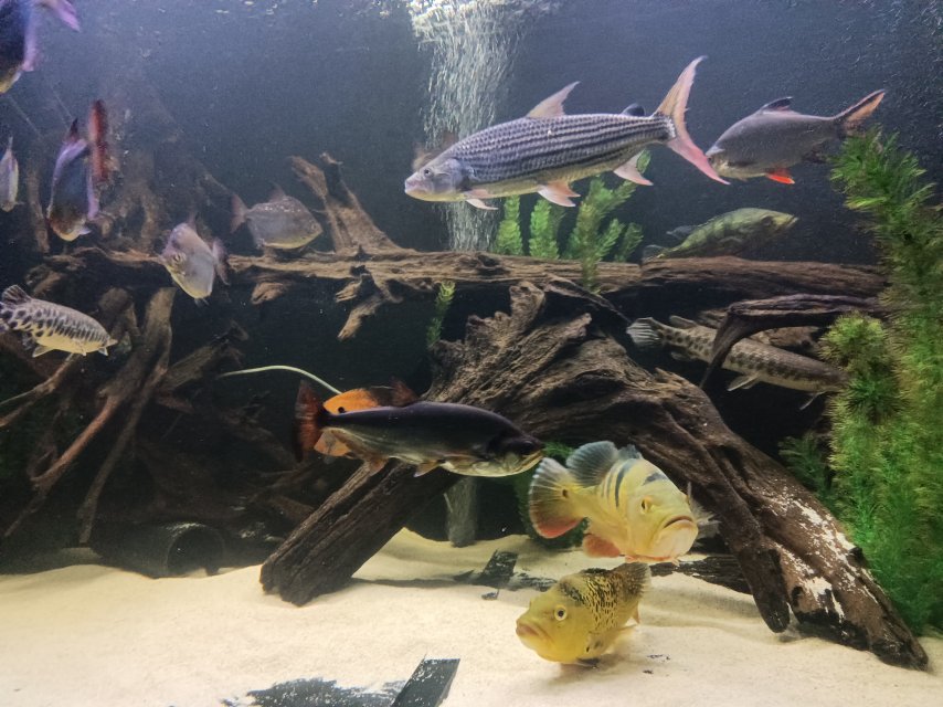 IMG20251119185303.jpg IMG20251119185303.jpg