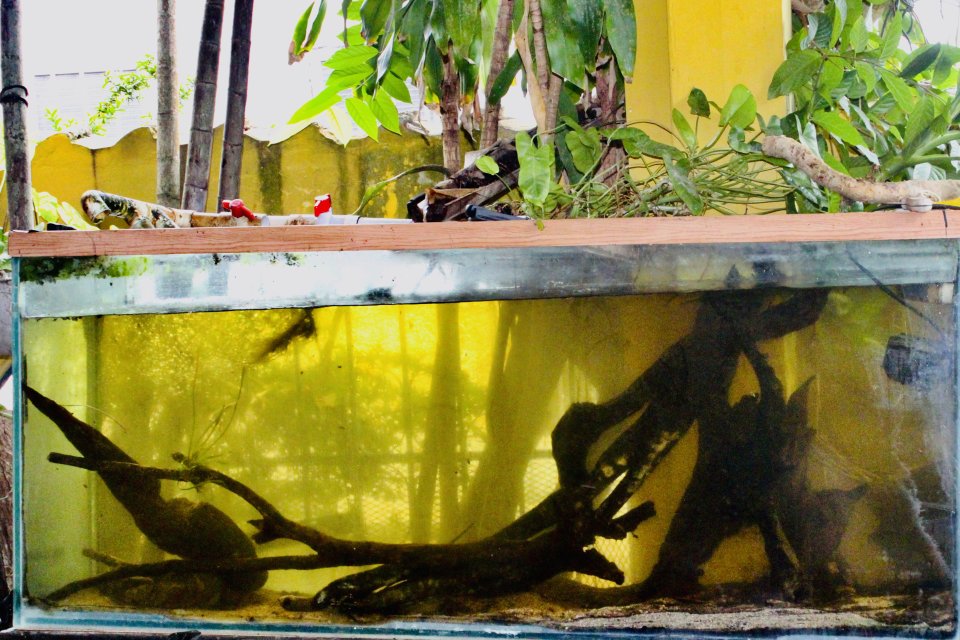 IMG_0099.jpeg IMG_0099.jpeg