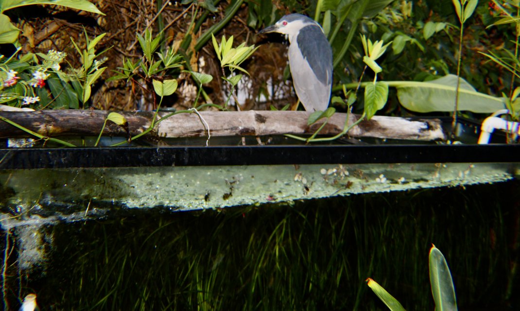 IMG_2047.jpeg IMG_2047.jpeg