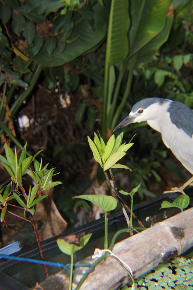 IMG_2066.jpeg IMG_2066.jpeg