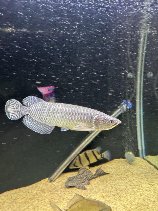 IMG_2359.jpeg IMG_2359.jpeg