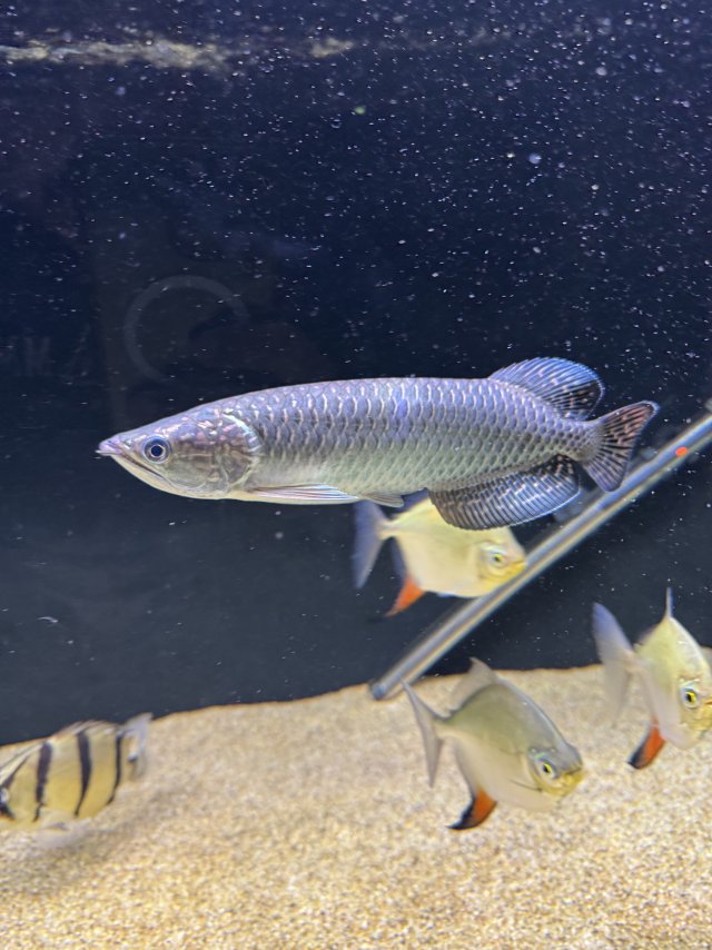 IMG_2364.jpeg IMG_2364.jpeg