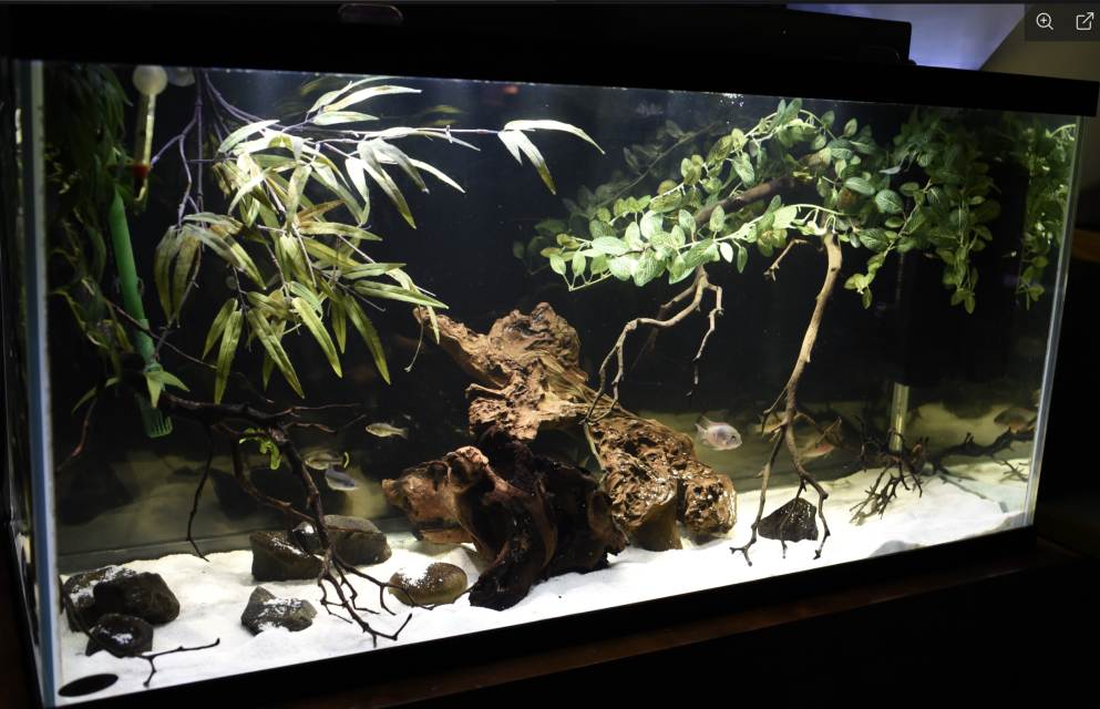 Screenshot 2025-11-21 at 10.08.04 AM.png