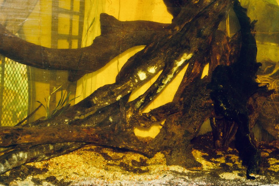 IMG_0127.jpeg IMG_0127.jpeg